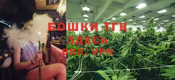 ешки Алексин