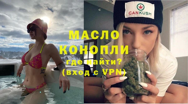 СК Пересвет